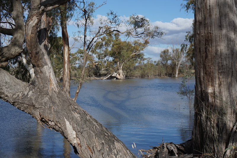 Illustration for article titled Roamin' the Riverland.